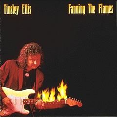Fanning the Flames/TINSLEY ELLIS