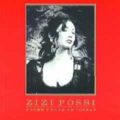 Sobre Todas as Coisas/ZIZI POSSI