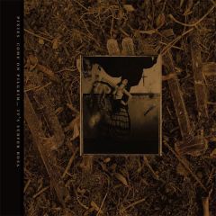 Come On Pilgrim... It's Surfer .../PIXIES
