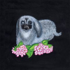 Guadalupe Plata (2017)/GUADALUPE PLATA