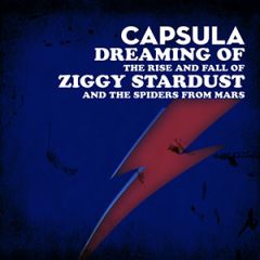 Dreaming of The Rise and Fall .../CAPSULA