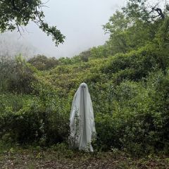 Aniversari feliç/FERRAN PALAU