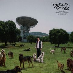 Los perros no entienden internet/DEPRESION SONORA