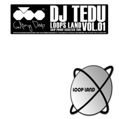 Skip Proof Scratch Tool Vol.1/DJ TEDU