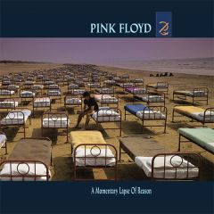 A Momentary Lapse Of Reason/PINK FLOYD