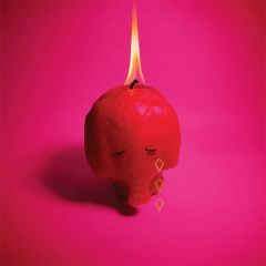 Pink Elephant/ARCADE FIRE