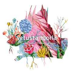 Mismo sitio, distinto lugar/VETUSTA MORLA