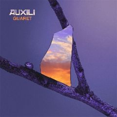 Guaret/AUXILI