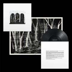 Crooked Wing/THESE NEW PURITANS