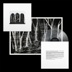 Crooked Wing (Vinilo .../THESE NEW PURITANS